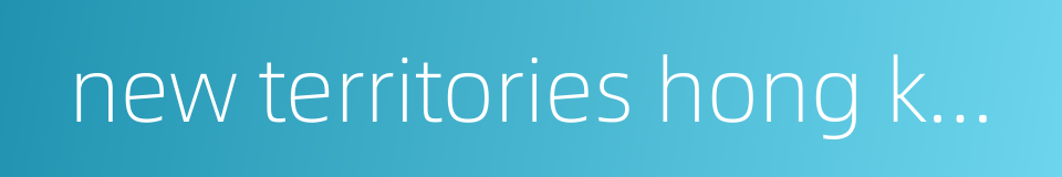 new territories hong kong的同义词