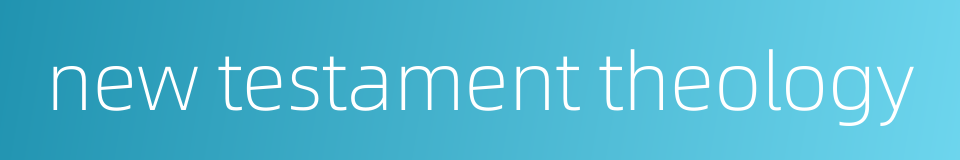 new testament theology的同义词