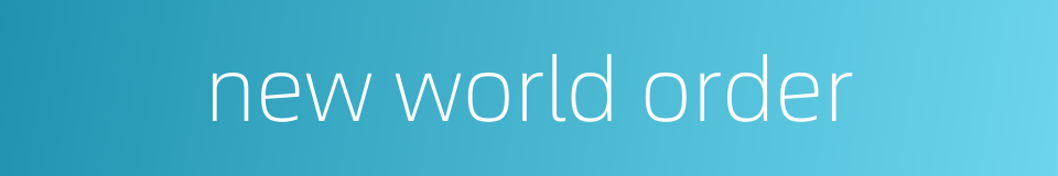 new world order的同义词