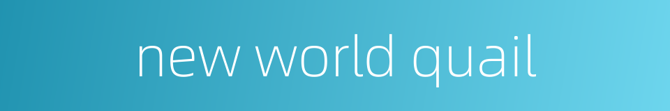 new world quail的同义词