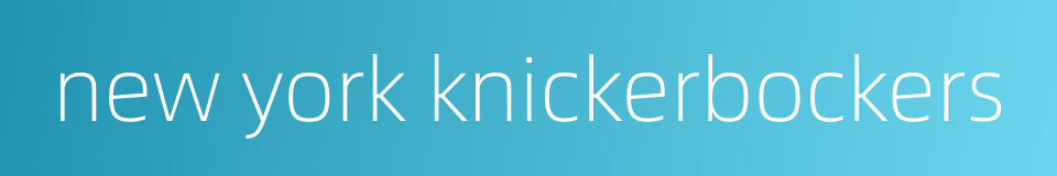 new york knickerbockers的同义词