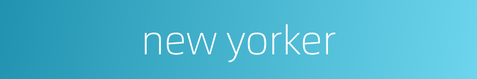 new yorker的同义词