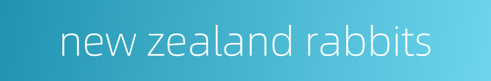 new zealand rabbits的同义词