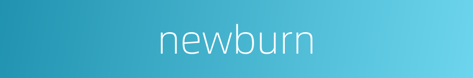 newburn的同义词