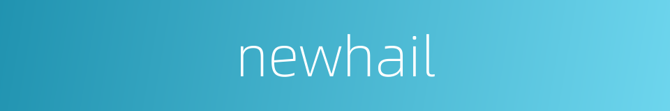 newhail的同义词