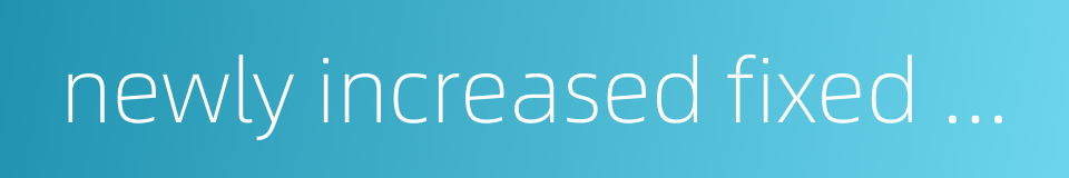 newly increased fixed assets的同义词