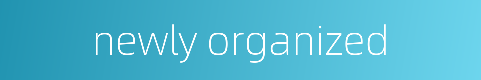 newly organized的同义词