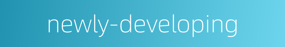 newly-developing的同义词