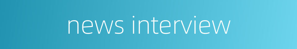 news interview的同义词