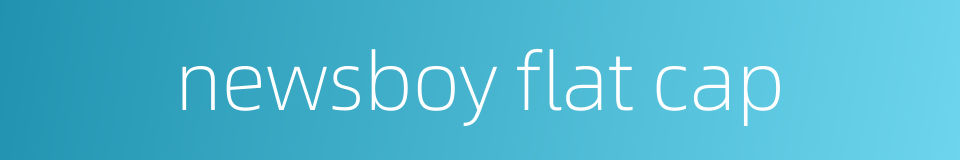 newsboy flat cap的同义词