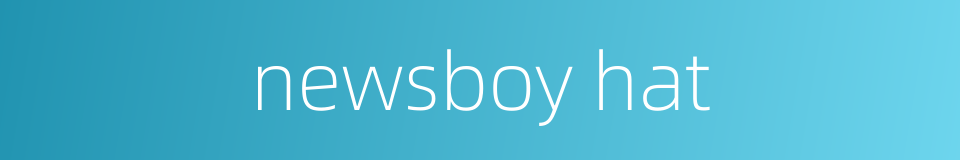newsboy hat的同义词