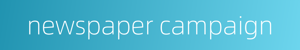 newspaper campaign的同义词