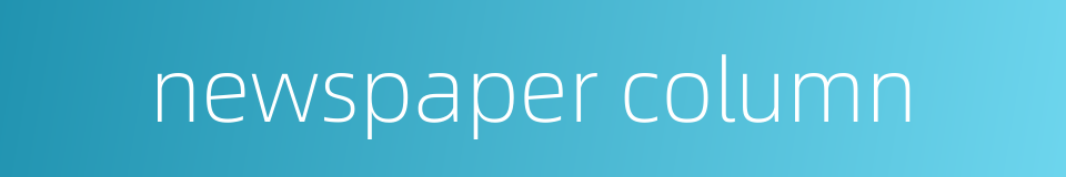 newspaper column的同义词