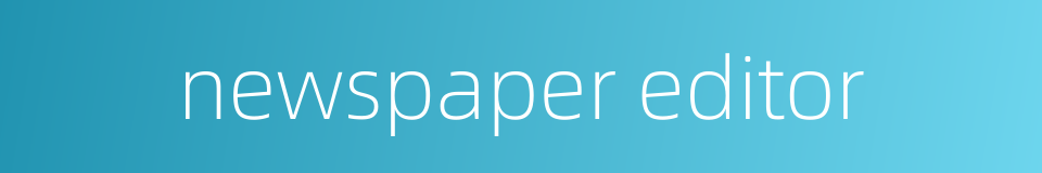 newspaper editor的同义词