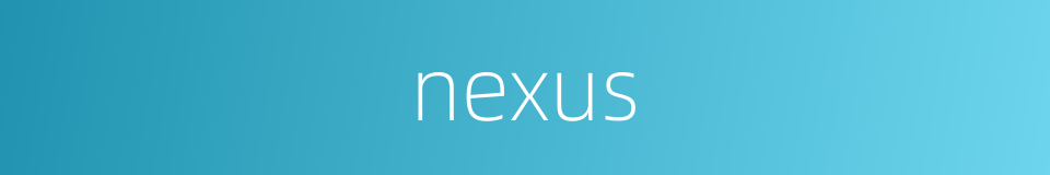 nexus的同义词