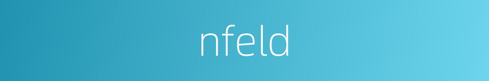 nfeld的同义词