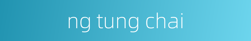 ng tung chai的同义词