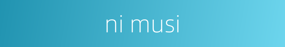 ni musi的同义词