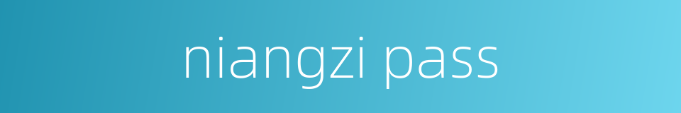 niangzi pass的同义词