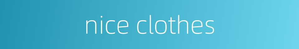 nice clothes的同义词