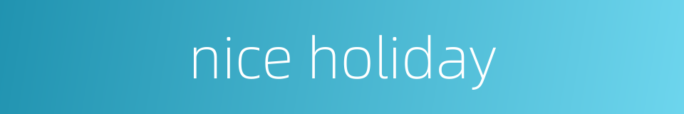 nice holiday的同义词