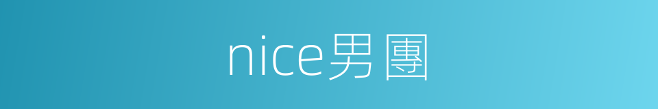 nice男團的同義詞