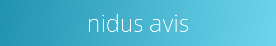 nidus avis的同义词