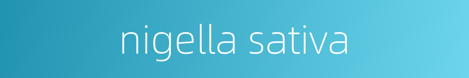 nigella sativa的同义词