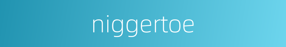 niggertoe的同义词
