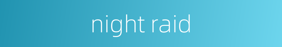 night raid的同义词