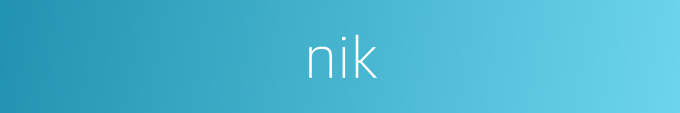 nik的同义词