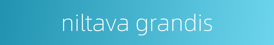niltava grandis的同义词