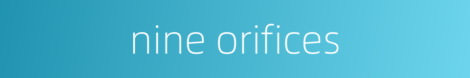 nine orifices的同义词