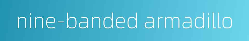 nine-banded armadillo的同义词