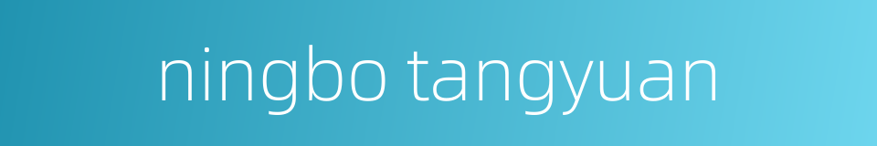 ningbo tangyuan的同义词