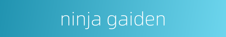 ninja gaiden的同义词