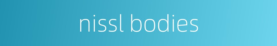 nissl bodies的同义词