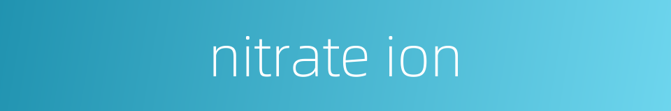 nitrate ion的同义词