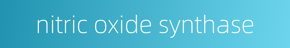 nitric oxide synthase的同义词