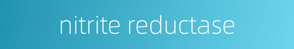 nitrite reductase的同义词