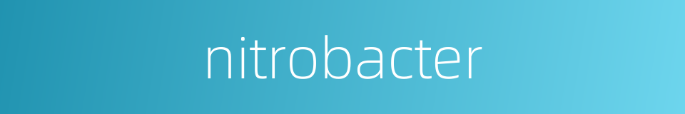 nitrobacter的同义词