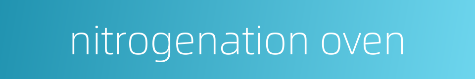 nitrogenation oven的同义词