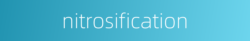 nitrosification的同义词