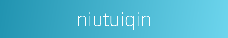 niutuiqin的同义词