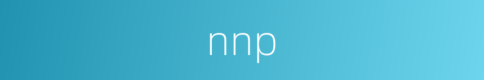 nnp的同义词