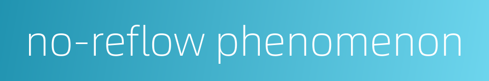 no-reflow phenomenon的同义词