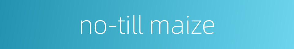 no-till maize的同义词