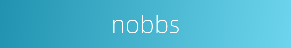 nobbs的同义词