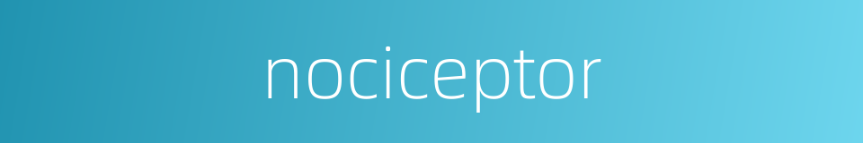 nociceptor的同义词