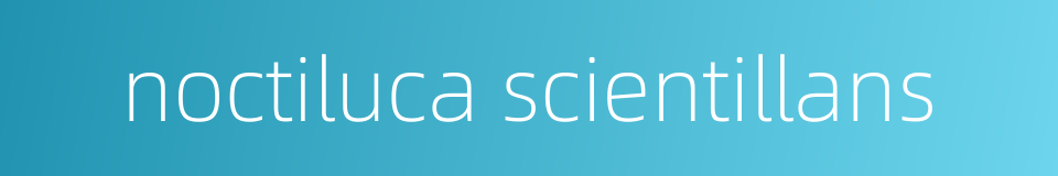 noctiluca scientillans的同义词